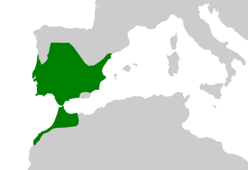 Carte de la répartition de l'espèce.